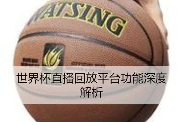 世界杯直播回放平台功能深度解析